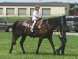 Horseback Riding